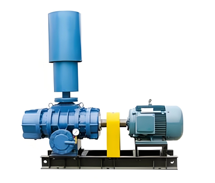 直聯(lián)式羅茨鼓風(fēng)機(jī)